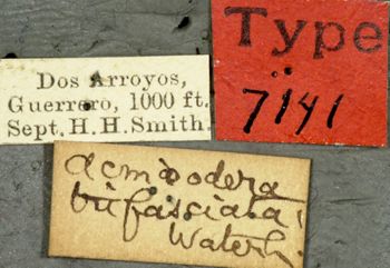 Media type: image;   Entomology 7141 Aspect: labels